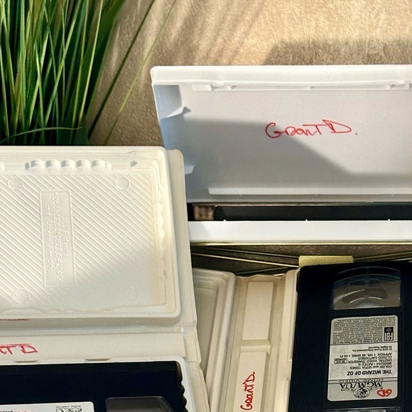 Disney/WarnerBro Classics VHS Bundle 2: Tigger, Piglet, Winnie the Pooh, DrSeuss - Picture 5 of 5